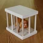 Lion in cage